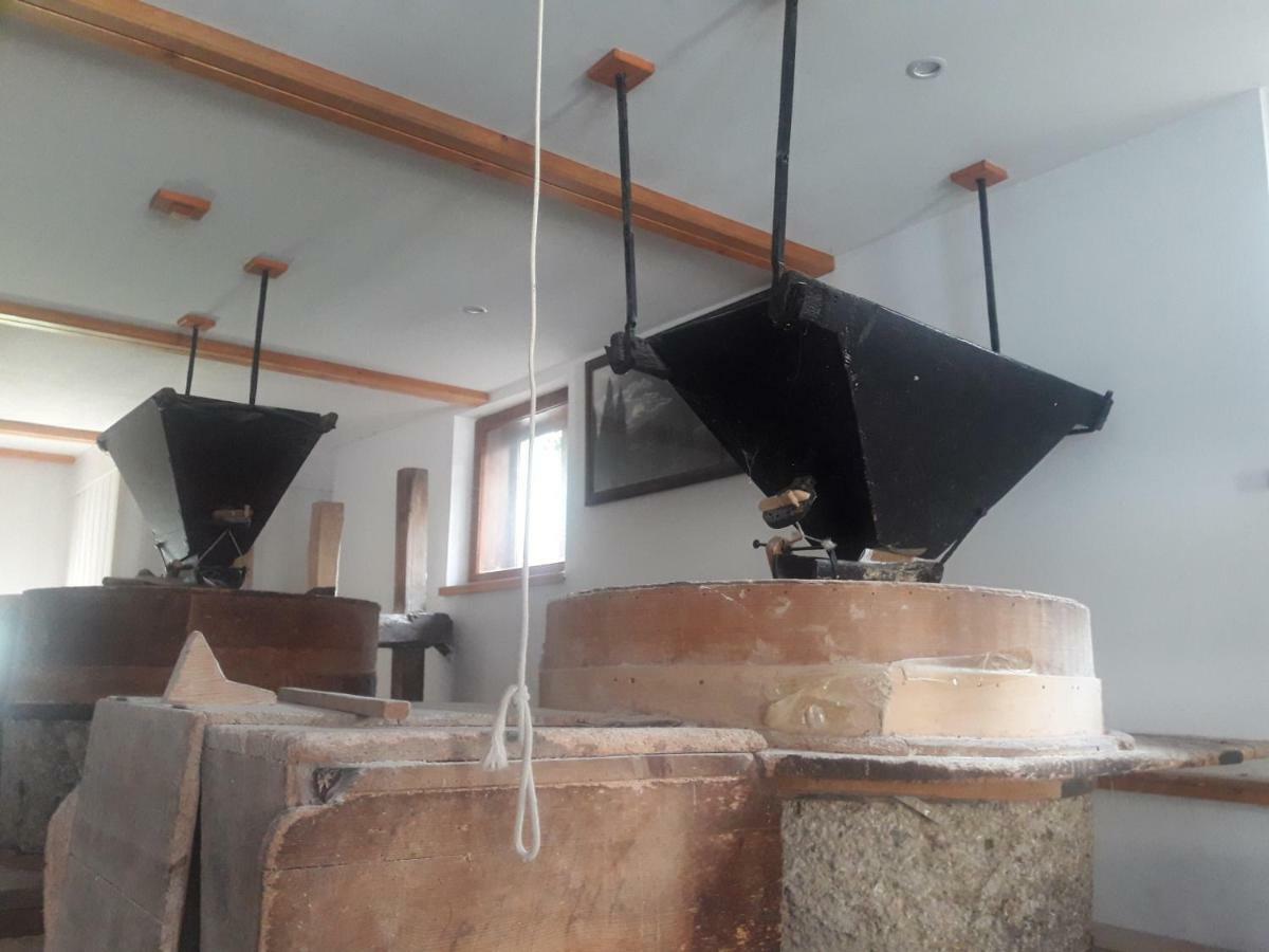 Old Mill House Apartment Bohinj Ngoại thất bức ảnh